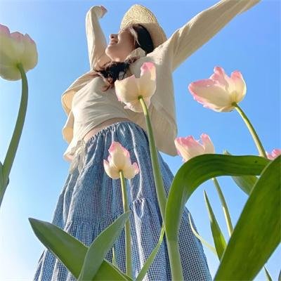 上海风云 在线观看封面